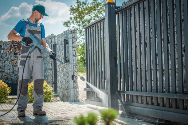 Best Spring Cleaning  in Wolfe City, TX