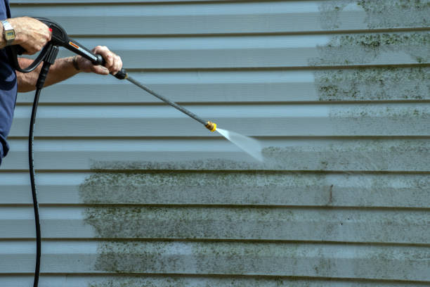 Best Restaurant Pressure Washing  in Wolfe City, TX
