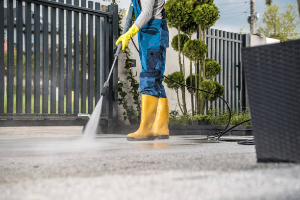 Best Patio and Deck Pressure Washing  in Wolfe City, TX