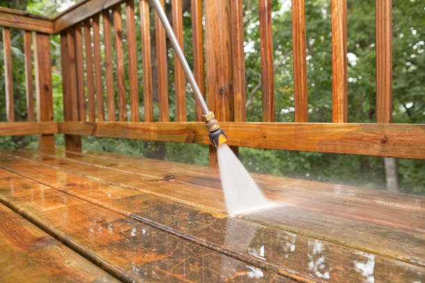 Best Building Exterior Washing  in Wolfe City, TX